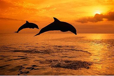 《七龙珠：破界斗士》玩法介绍：战5渣VS超级反派